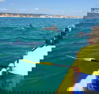 Kayak with Dolphins and 4WD Great Beach Drive Day Trip from Noosa - Attractions