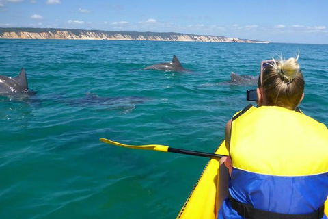 Kayak With Dolphins And 4WD Great Beach Drive Day Trip From Noosa - Attractions 0