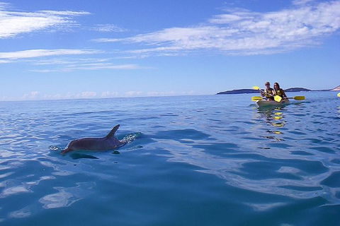 Kayak With Dolphins And 4WD Great Beach Drive Day Trip From Noosa - Attractions 7