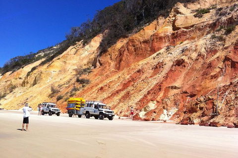 Kayak With Dolphins And 4WD Great Beach Drive Day Trip From Noosa - Attractions 12