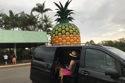 Private Transfer From Noosa To Sunshine Coast Airport- 8seater + Luggage Trailer - Attractions 3