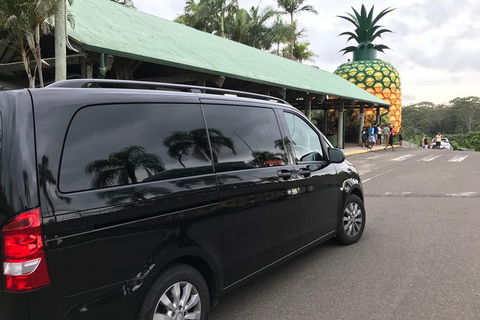 Private Transfer From Noosa To Sunshine Coast Airport- 8seater + Luggage Trailer - Attractions 5