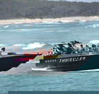 Noosa Thriller - 500hp Ocean Adventure Ride - Attractions