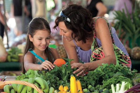 Sunshine Coast Eumundi Markets Return Minibus Transfer - Attractions 5