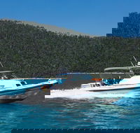 Private Standard Charter Experience in Whitsundays - Attractions