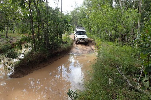 Cairns 4WD Waterfall And Rainforest Tour Including Kuranda Scenic Railway - Attractions 3