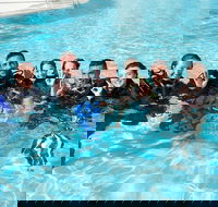 3-Day Open Water Certification Course on the Gold Coast - Attractions