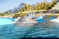 Gold Coast Quack'rDuck Amphibious Tour from Surfers Paradise