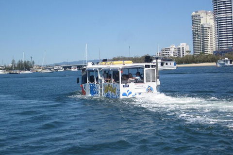 Gold Coast Quack\'rDuck Amphibious Tour From Surfers Paradise - Attractions 4