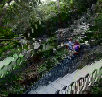 4-Day Cairns with Great Barrier Reef and Daintree Rainforest - Attractions