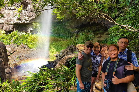 Small Group Tour (Max 6) Gold Coast Super 7 Waterfalls Tour: Springbrook - Attractions 2