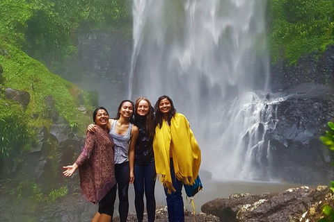 Small Group Tour (Max 6) Gold Coast Super 7 Waterfalls Tour: Springbrook - Attractions 0