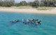 Guided Snorkel With Fish Tour At Wavebreak Island, Gold Coast - thumb 4