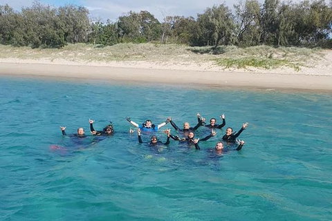 Guided Snorkel With Fish Tour At Wavebreak Island, Gold Coast - Attractions 4
