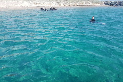 Guided Snorkel With Fish Tour At Wavebreak Island, Gold Coast - Attractions 8