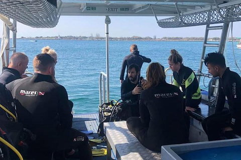 Guided Snorkel With Fish Tour At Wavebreak Island, Gold Coast - Attractions 7