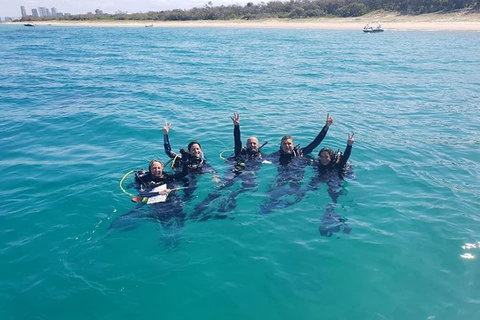 Guided Snorkel With Fish Tour At Wavebreak Island, Gold Coast - Attractions 5
