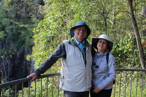 The Gold Experience:Private Day Tour In Lamington National Park Or Mt Tambourine - See Attractions 1