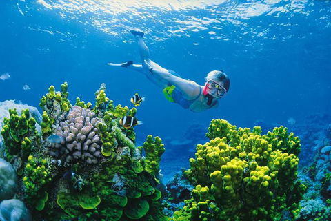 Full Day Snorkel In The Great Barrier Reef - Attractions 0