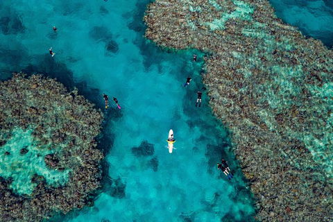 Full Day Snorkel In The Great Barrier Reef - Attractions 1