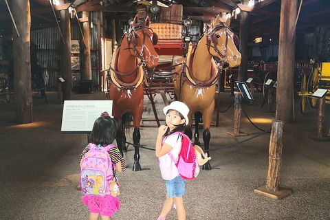 Paronella Park, Historic Village Herberton And Granite George Wild Life Kangaroo - Attractions 7