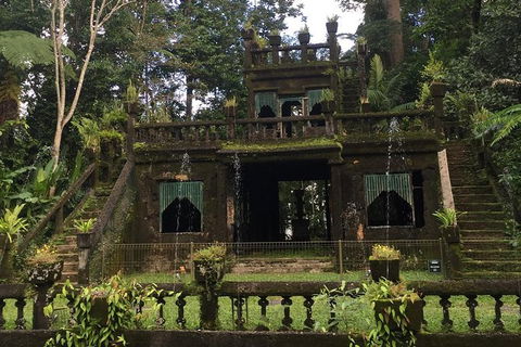 Paronella Park, Historic Village Herberton And Granite George Wild Life Kangaroo - Attractions 5