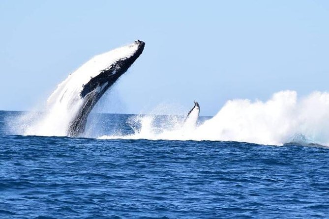 Noosa QLD Attractions