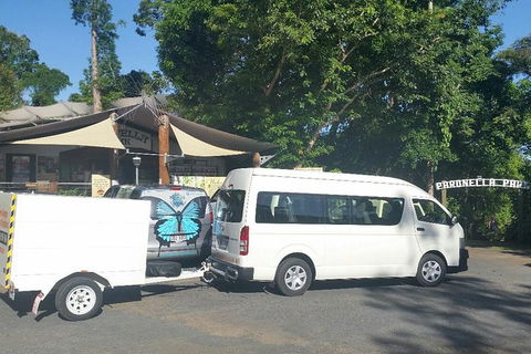 Airport Transfer To Or From Cairns Hotels For Up To 13 People (7am-10pm) - Attractions Las Vegas 3