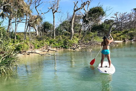 Early Morning Weekend Paddleboard Special - Attractions 5