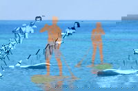 Stand Up Paddle Board Hire