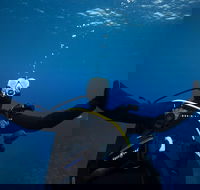 3- Day Advanced Open Water Diver Course on the Gold Coast - Attractions