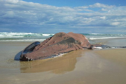 Stradbroke Island Adventure - Attractions 7