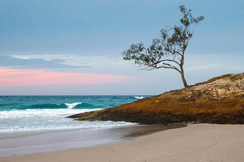 Stradbroke Island Adventure - Attractions 4