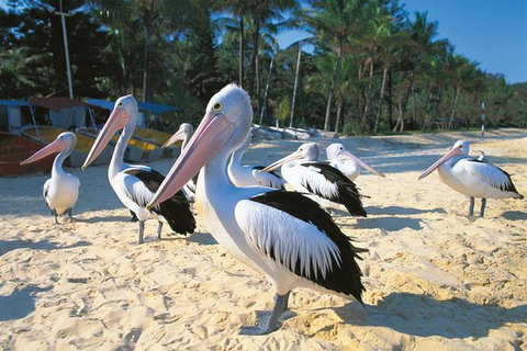 Stradbroke Island Adventure - Attractions 5