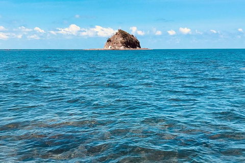 Exclusive Double Island Boat Tours From Palm Cove - Attractions Las Vegas 10