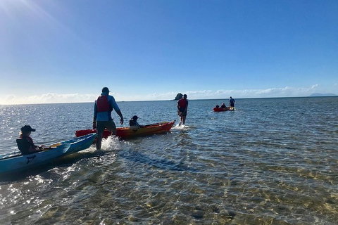 Exclusive Double Island Boat Tours From Palm Cove - Attractions Las Vegas 3