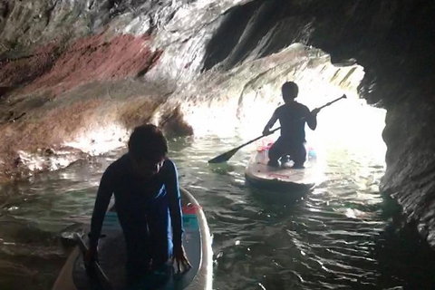 Exclusive Double Island Boat Tours From Palm Cove - Attractions Las Vegas 6