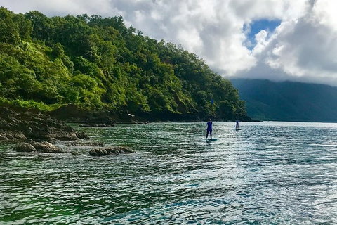 Exclusive Double Island Boat Tours From Palm Cove - Attractions Las Vegas 13