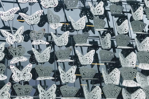 Discover Brisbane - Attractions 1