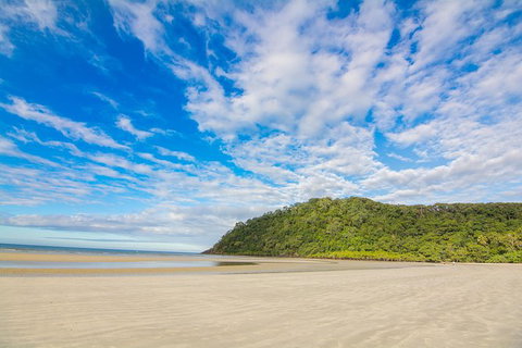 Daintree Afternoon Nocturnal Nature And Wildlife Tour - See Attractions 8