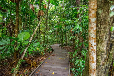 Daintree Afternoon Nocturnal Nature And Wildlife Tour - See Attractions 9