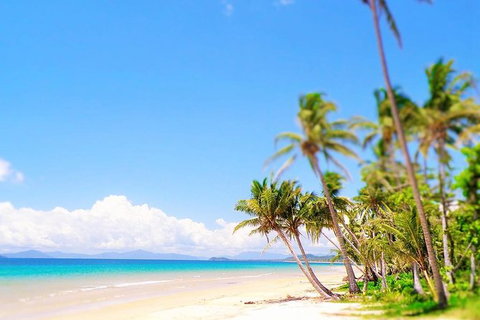 Airport Transfer - Mission Beach To Cairns Airport - Attractions 3