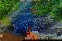 Private Tour - Rainforest  Waterfalls Extravaganza