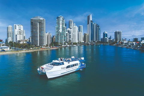 Hop On Hop Off Day Pass | Hopo Gold Coast Ferry - Attractions 2