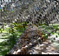 Self-guided Coast Walks - Noosa To Sydney 6 Days  Dep 25 Sep 2019 24 Sep 2020 - Attractions