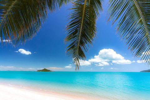 Reef, Wildlife & Rainforest - Reef & Beyond Guided Holidays - Attractions 4