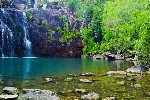 Reef, Wildlife & Rainforest - Reef & Beyond Guided Holidays - Attractions 0