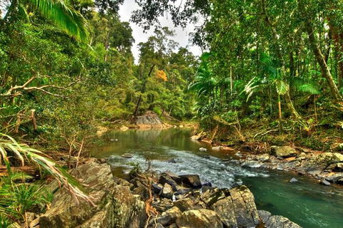 Reef, Wildlife & Rainforest - Reef & Beyond Guided Holidays - Attractions 3