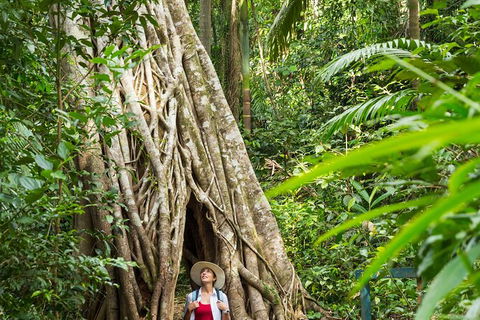 Reef, Wildlife & Rainforest - Reef & Beyond Guided Holidays - Attractions 2