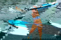 Private Lesson- Stand up paddle learn  improve